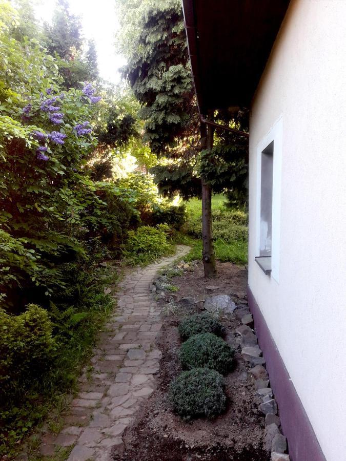 Villa Krakowhouse à Libertów Extérieur photo